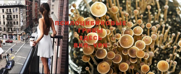 мяу мяу мука Кинешма