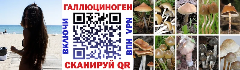 Купить закладки  Асбест  Псилоцибиновые грибы Magic Shrooms 